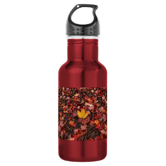 Autumn leaves  532 ml water bottle