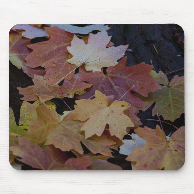 Autumn leaves all around mouse pad (Front)