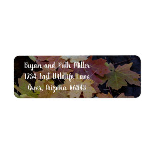 Autumn leaves all around return address label