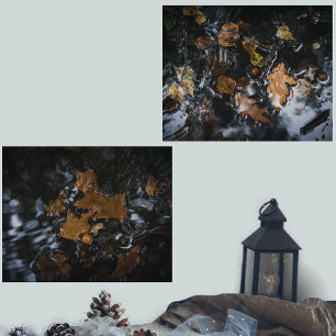Autumn leaves and acorns in mysterious waters