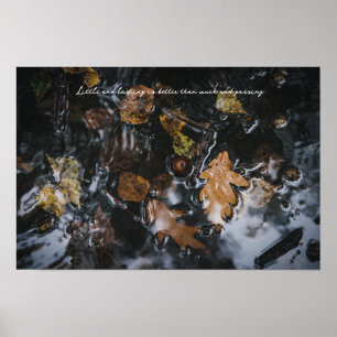 Autumn leaves and acorns in mysterious waters poster