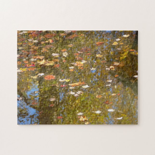 Autumn Leaves and Stream Reflection at Greenbelt Jigsaw Puzzle (Horizontal)