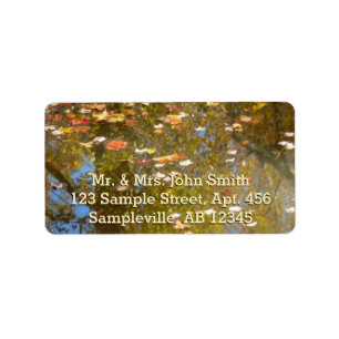 Autumn Leaves and Stream Reflection at Greenbelt Label