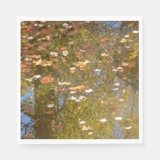 Autumn Leaves and Stream Reflection at Greenbelt Napkin (Front)
