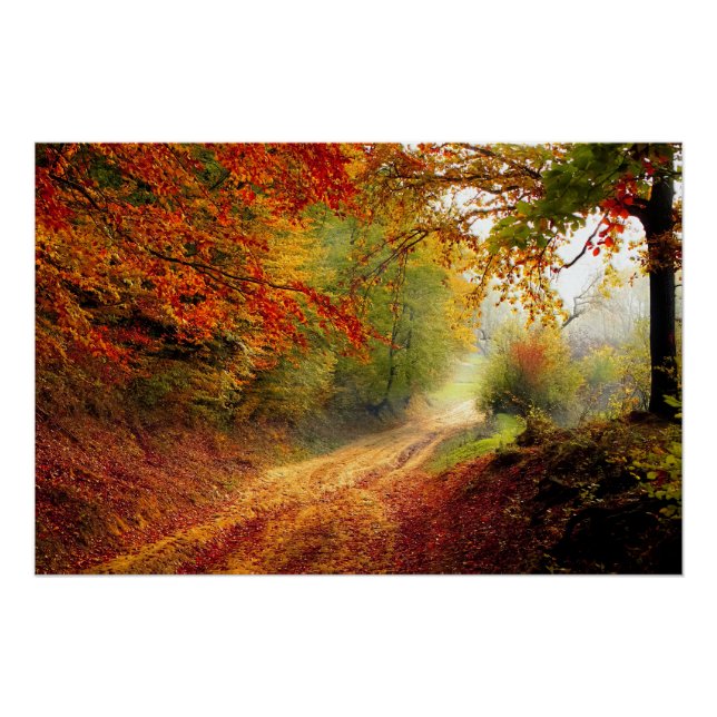 Autumn Leaves and Trees Covering Dirt Road Poster (Front)