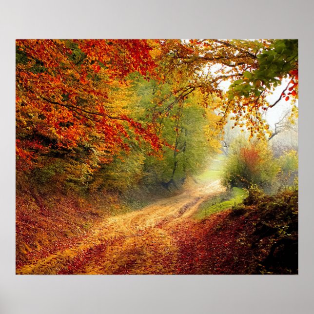 Autumn Leaves and Trees Covering Dirt Road Poster (Front)