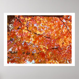 Autumn Leaves art prints Fall Art prints canvas
