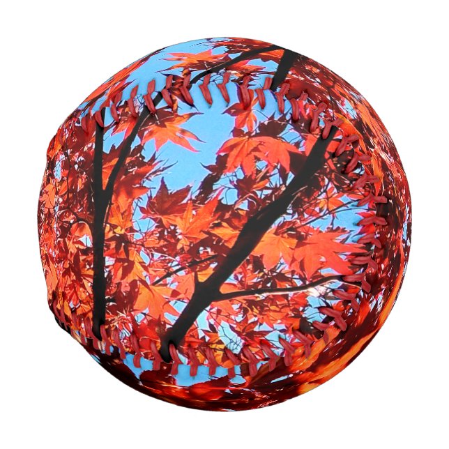 Autumn leaves baseball (Front Right)