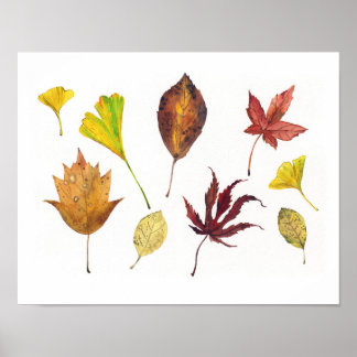 Autumn Leaves Botanical Watercolor Art Poster
