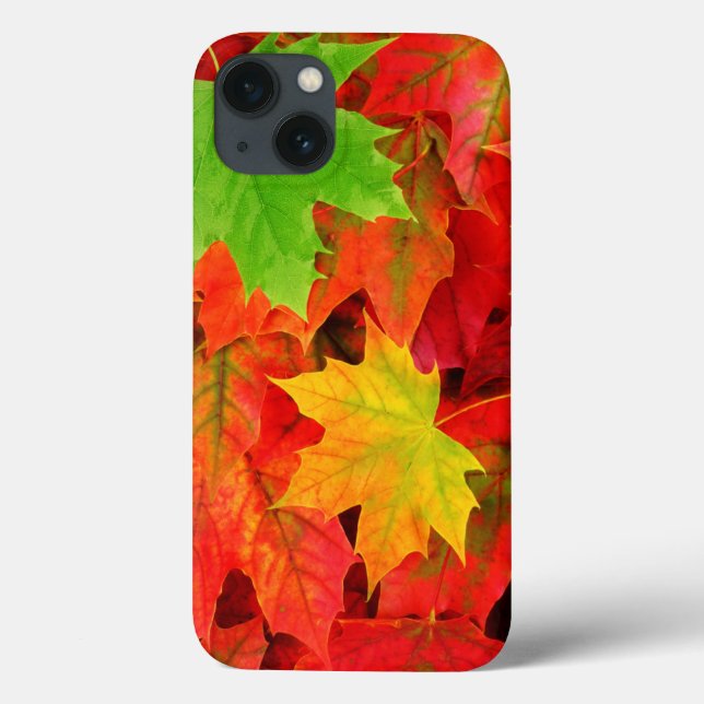 Autumn Leaves Case-Mate iPhone Case (Back)