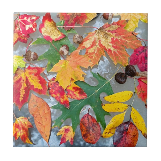 Autumn Leaves Ceramic Coster Tile (Front)