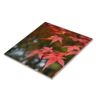 Autumn Leaves Ceramic Tile