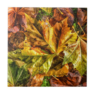 Autumn leaves ceramic tile