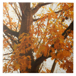 Autumn Leaves Ceramic Tile