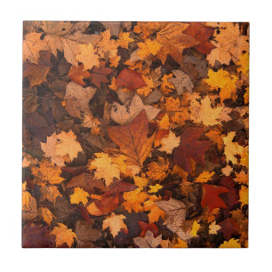 Autumn Leaves Ceramic Tile