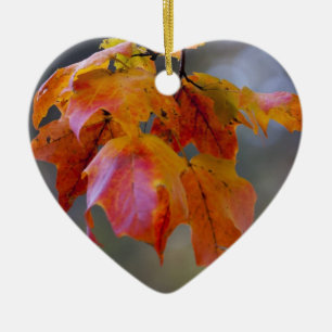 Autumn Leaves Ceramic Tree Decoration