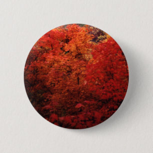 Autumn Leaves Changing Colour 6 Cm Round Badge