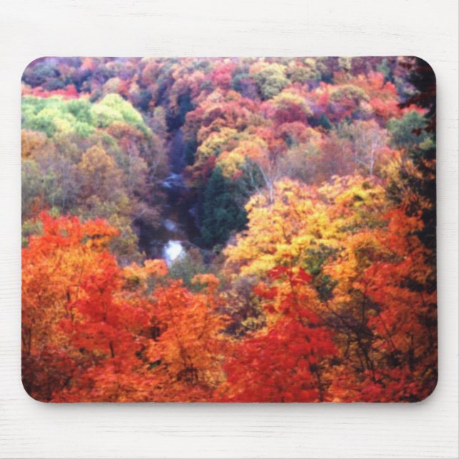 Autumn Leaves Changing Colour Mouse Pad (Front)