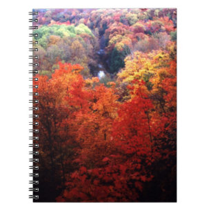 Autumn Leaves Changing Colour Notebook