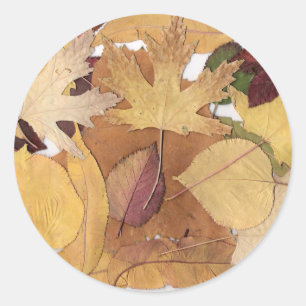 Autumn Leaves Classic Round Sticker