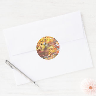 Autumn Leaves Classic Round Sticker