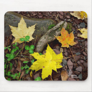 Autumn Leaves Clover Pebbles Mousepad