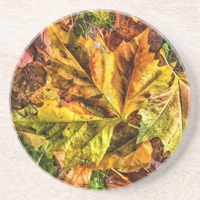 Autumn leaves coaster (Front)