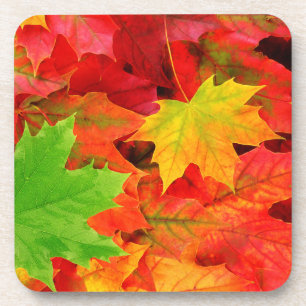 Autumn Leaves Coaster