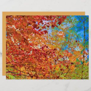 Autumn Leaves Colourful Orange Fall Themed Blue Sk