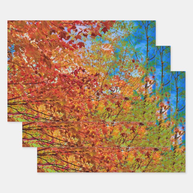 Autumn Leaves Colourful Orange Fall Themed Blue Sk Wrapping Paper Sheet (Set)