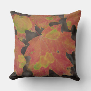 Autumn Leaves Cushion