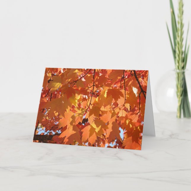 Autumn Leaves custom Greeting Cards Fall Trees (Front)