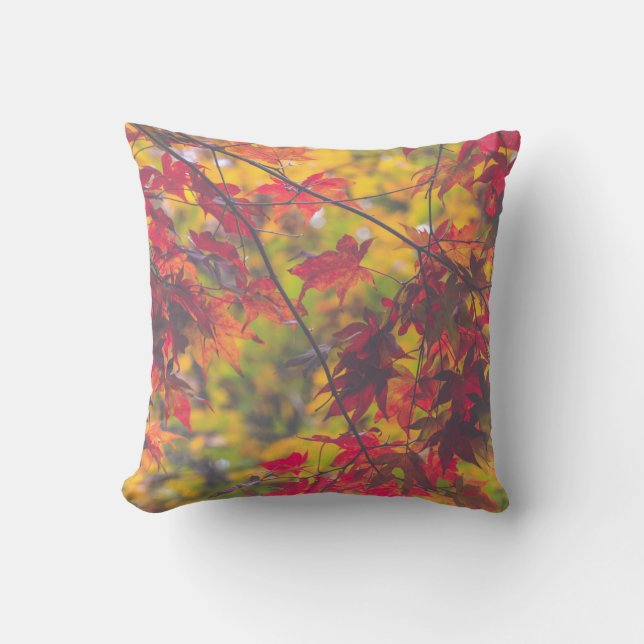 Autumn Leaves Fall Colour Cushion (Front)