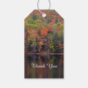 Autumn Leaves Fall Colour Scene Gift Tag