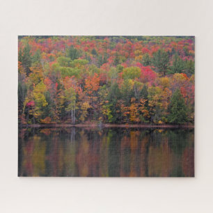 Autumn Leaves Fall Colour Scene Jigsaw Puzzle