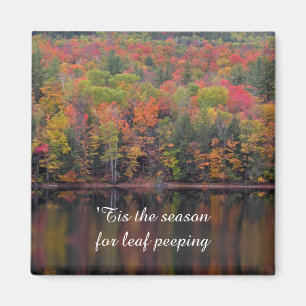 Autumn Leaves Fall Colour Scene Magnet