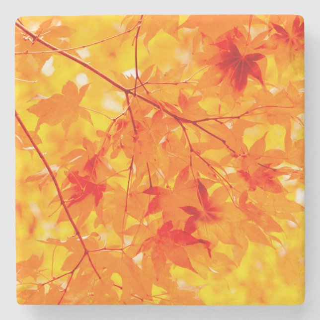 Autumn Leaves Fall Nature Orange Stone Coaster (Front)