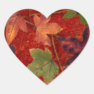 Autumn Leaves Fall Season Tree Leaf Colourful Heart Sticker