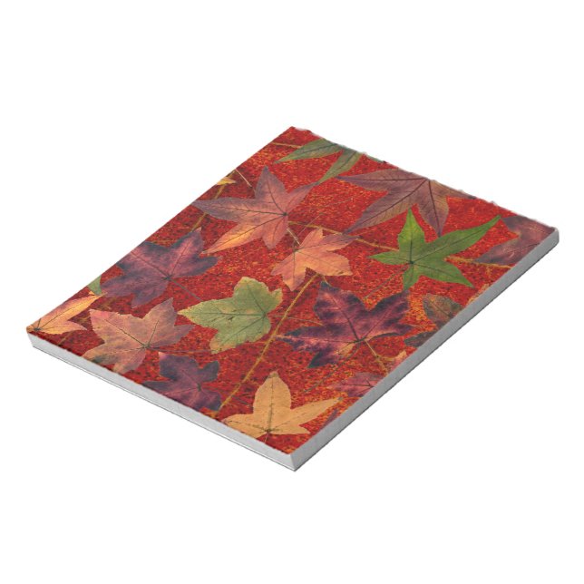 Autumn Leaves Fall Season Tree Leaf Colourful Notepad (Rotated)