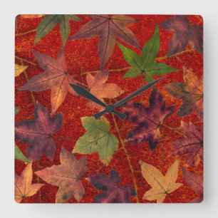 Autumn Leaves Fall Season Tree Leaf Colourful Square Wall Clock