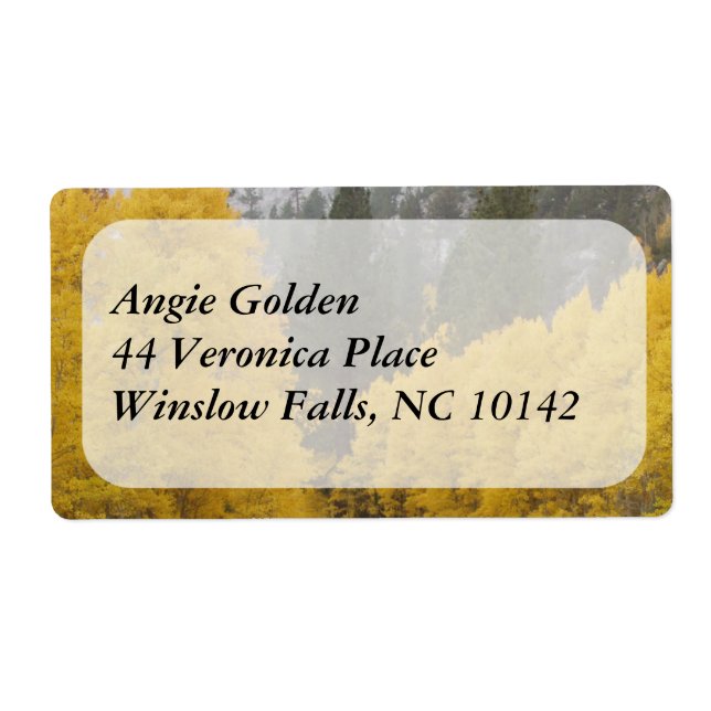 Autumn Leaves Fall Unique Nature Photograph (Front)