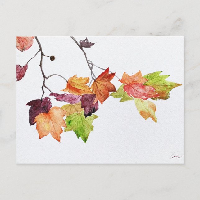 Autumn Leaves Fall Watercolor Print Postcard (Front)