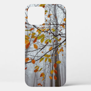 Autumn leaves fallen forest leaf iPhone 12 case