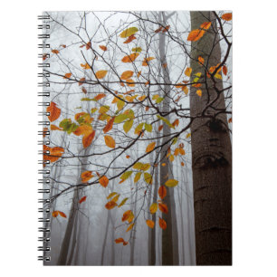 Autumn leaves fallen forest leaf notebook