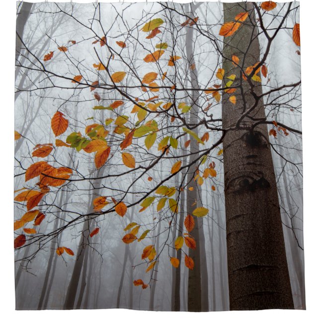 Autumn leaves fallen forest leaf shower curtain (Front)