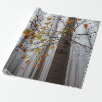 Autumn leaves fallen forest leaf
