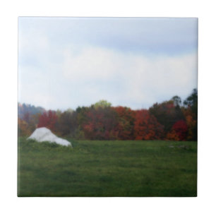 Autumn Leaves Field Nature Art Tile