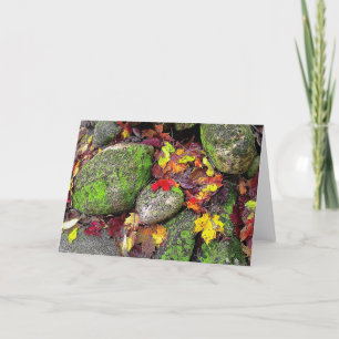 Autumn Leaves,Field Stones, Greeting Card