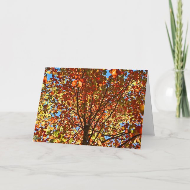 Autumn Leaves Fireworks Card (Front)