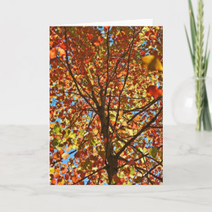 Autumn Leaves Fireworks Card